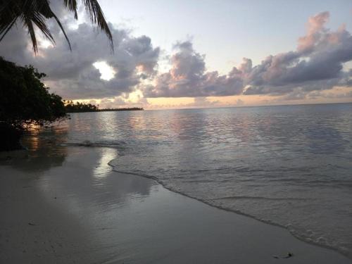 Fiyoari Island Maison | Iruka Guesthouse