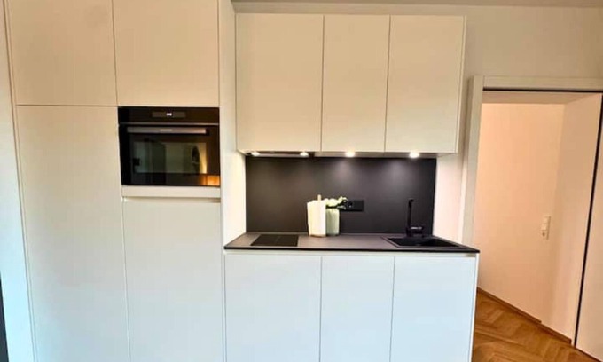 Waldshut-Tiengen Appartement | Isaak Apartment Löwenbau E2-W06