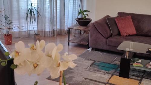 Nicosia Appartement | Isabella Modern flat City Center Nicosia