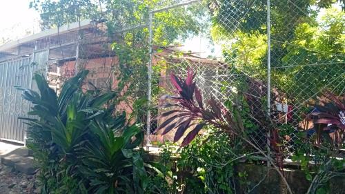 Granada Maison | Isi's Guest House