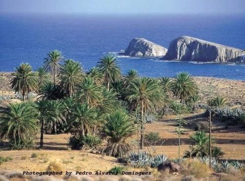 La Isleta del Moro Appartement | isleta del Moro Daniel