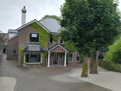 Claddagh Maison | Ivy House