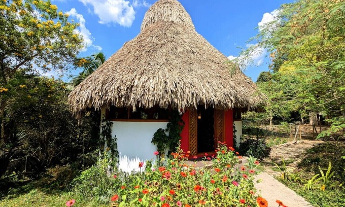 San Ignacio Cabine | Ix-Chel Palapa - Unique bungalow