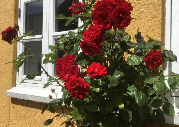 Middelfart Lit Et Petit-Déjeuner | Jan og Inges Bed & Breakfast