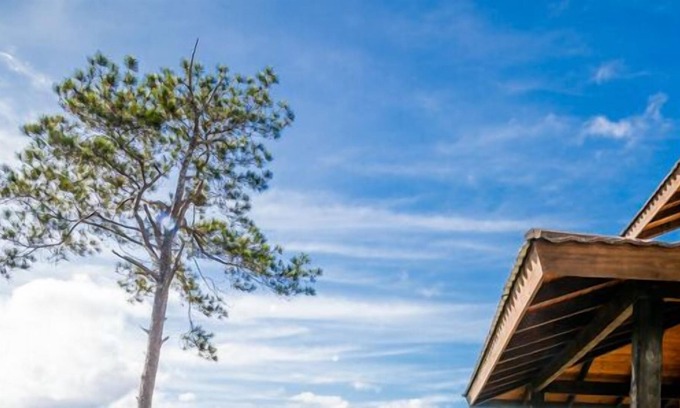 Jarabacoa Cabine | Jarabacoa Villas Ecolodge