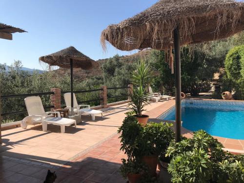 Pinos del Valle Appartement | Jardin Andaluz Appart Alhambra