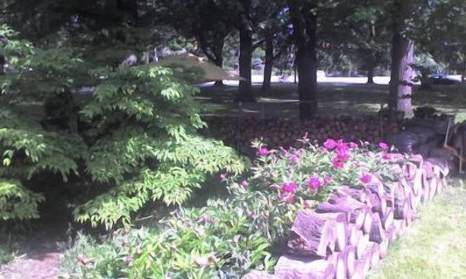 Detroit - Shoreway Maison | JARVIS Edgewater Park & Beach 5BD Villa