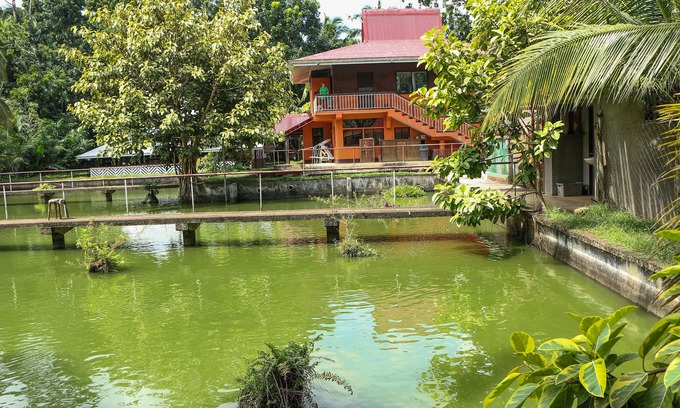 Calamba Hôtel | Jconfarm