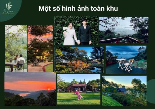 Bao Loc Lit Et Petit-Déjeuner | JE T'AIME VILLA - Khu nghỉ dưỡng nhà vườn nằm giữa thiên nhiên bao la hoa cỏ