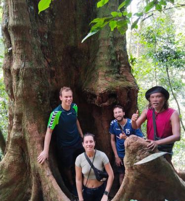 Bukit Lawang Maison | Jhony's Backpacker-Guest House only stay here book treking with us