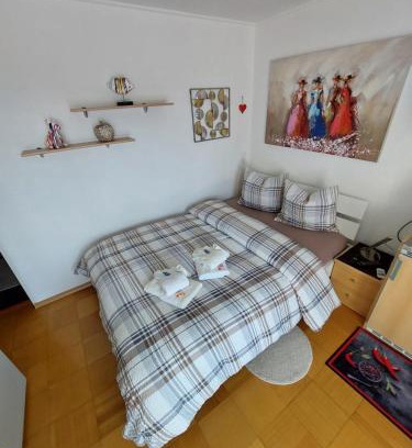 Belmont-sur-Lausanne Appartement | Joli studio avec terrasse et vue POUR NON FUMEURS