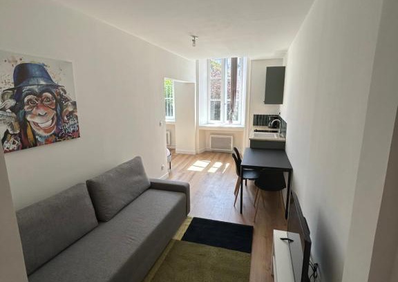 Aurillac Appartement | Joyau historique 101