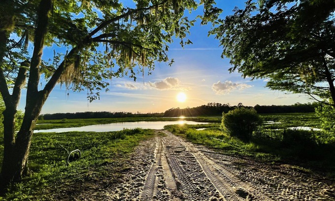 Edgar Cabine | Juanita’s Cabin , a Peaceful cabin in Central Florida. IG:@JUANITASCABIN