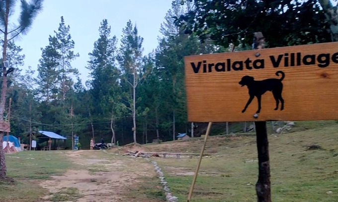 San Jose de las Matas Cabine | Junglavida