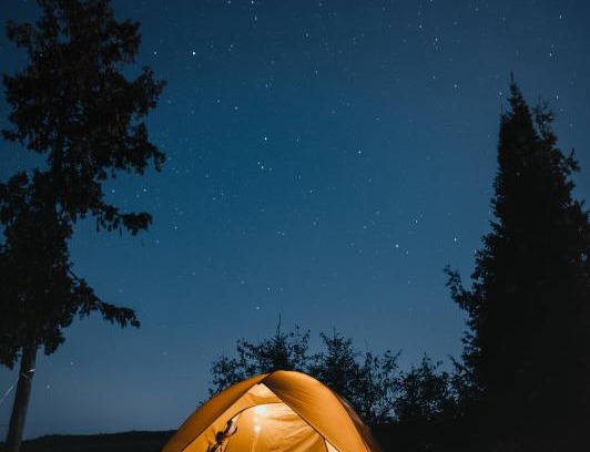 Chintapalle Maison | Jungle Campingg