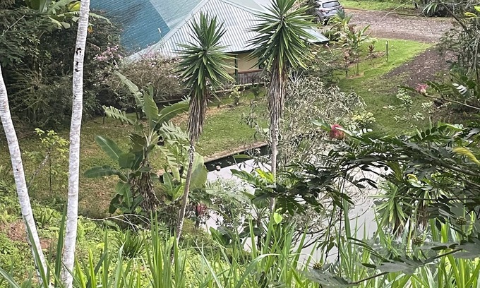 Ciudad Cortes Villa | Jungle Forêt escapade à la montagne