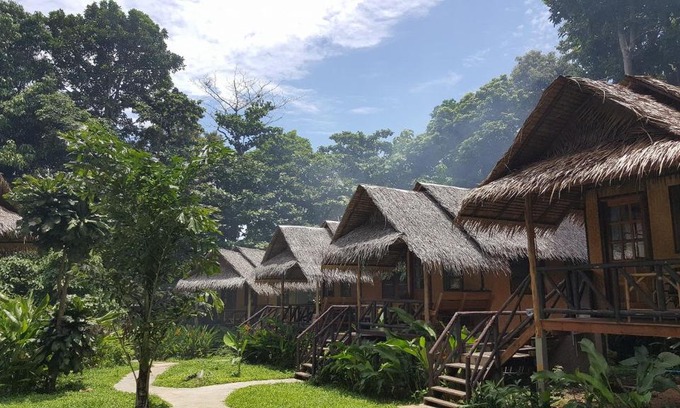 Bai Lan Maison | Jungle Garden