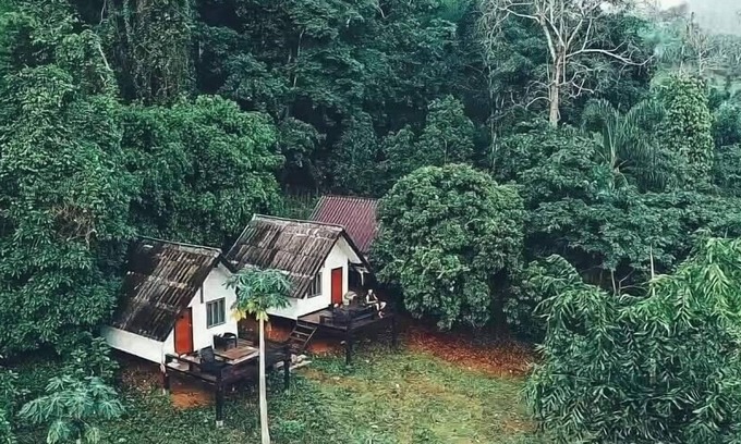 Pangmapha Maison | Jungle guest house