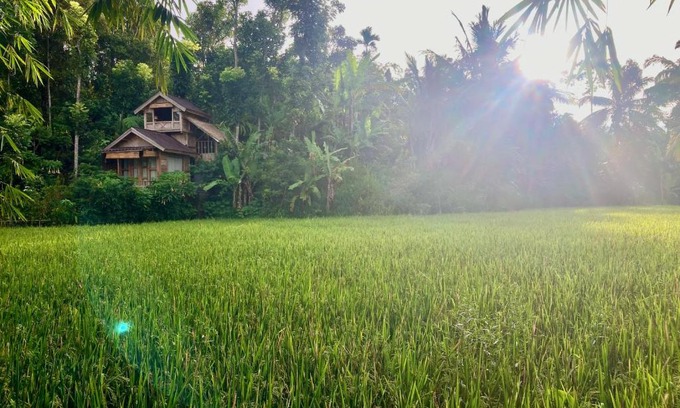 Tetebatu Maison | Jungle inn tetebatu