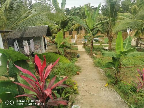 San Francisco Island Maison | Jungle