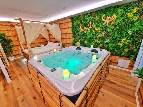 Muntzenheim Appartement | JUNGLE SPA-4 Pers-Jacuzzi-Parking-Jardin-Clim-Colmar