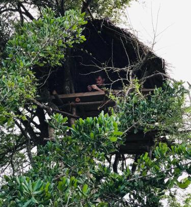 Anuradhapura Autre | Jungle Tree Hut Anuradhapura Sri Lanka