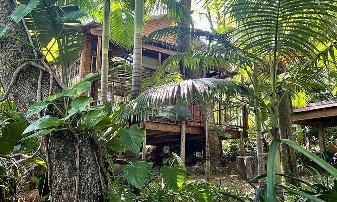 Nelspruit Cabine | Jungle Treehouse - No Loadshedding LoerieRoep Unit 5