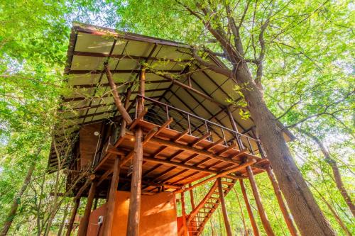 Attikulama Station Balnéaire | Kaala Kalaththewa Luxury Eco Resort
