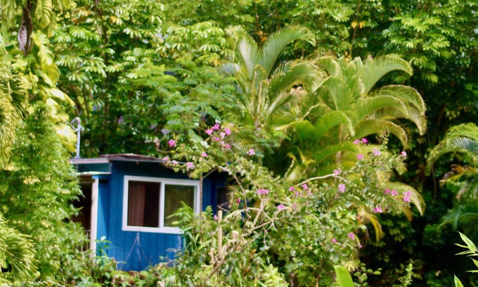 Wainiha Maison | Kai Honu Home