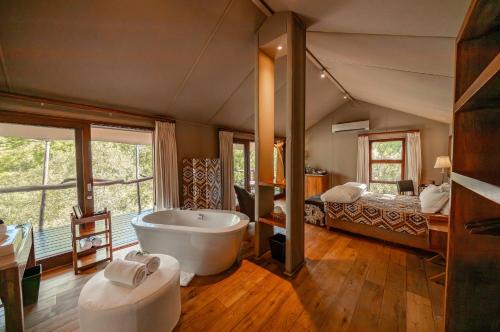 Thorny Bush Game Reserve Autre | Kapama Buffalo Camp
