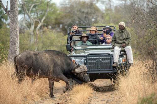 Maruleng Cabine | Karongwe - Kuname Safari Lodge