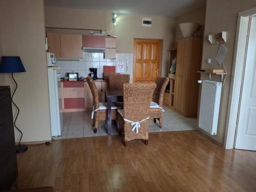 Cserkeszolo Appartement | Kastély apartman
