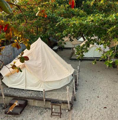 Lobo Autre | KAWAI Beach Camp