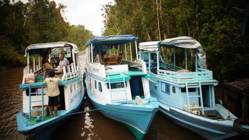 Kumai Location De Bateaux | Kelotok Orangutan Tanjung Puting