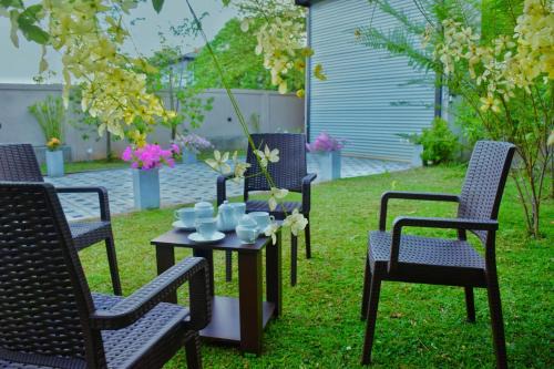 Dambulla Hôtel | Kenolis City Hotel