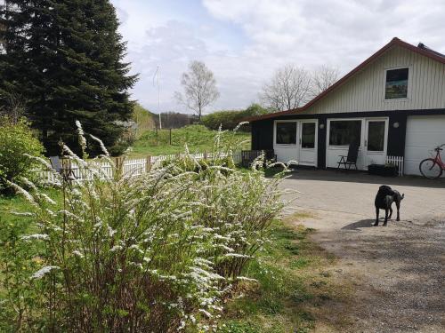 Vrinners Maison | Keramikhuset 2 komma 0, smuk natur og hjemlig hygge