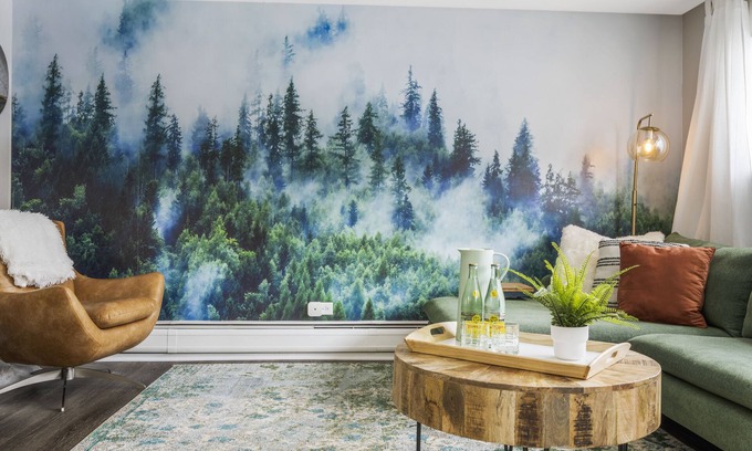 Geneva Appartement | Keyless, KING bd, WIFI, desk, Fox River Bike Trail, near MetraTrain