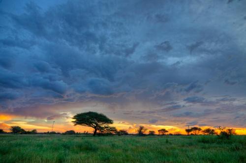 Otjozondjupa Region Maison | Khoi-Khoi Guesthouse