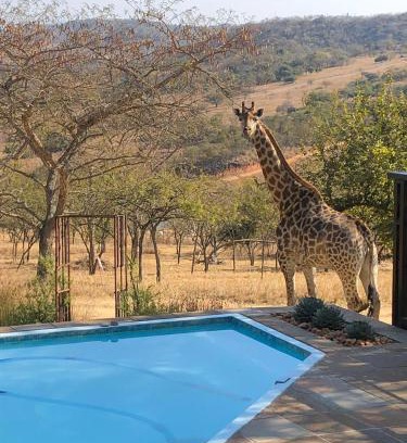 White River Cabine | Khululeka Safaris Lodge