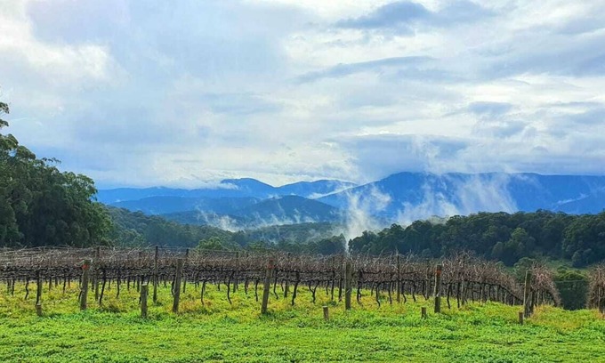 Gladysdale Maison | "KiNam Vinea" - A Farm Stay in the Yarra Valley