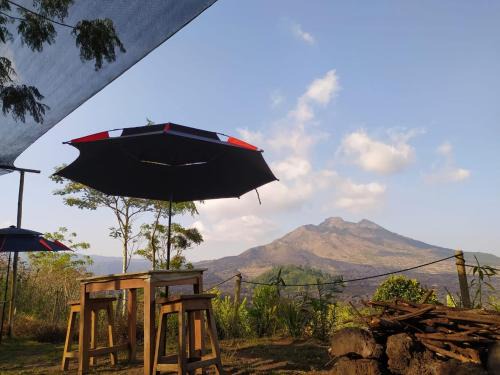 Kedisan Autre | Kintamani Adventures 'Hide in Nature lodge'
