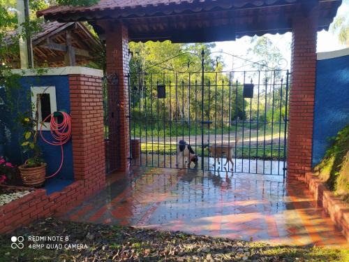 Juquitiba Cabine | Kitnet em meio à mata Atlântica