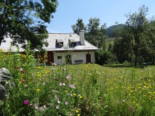 Arriach Chalet De Ski | Klösterle Haus Resi