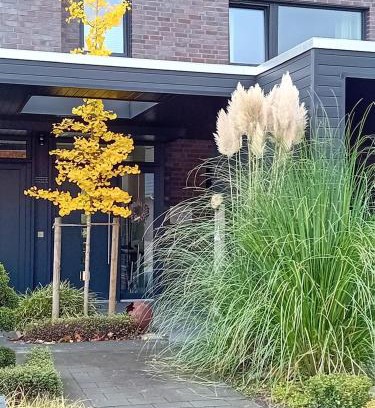Friesoythe Appartement | Klause am grünen Hof