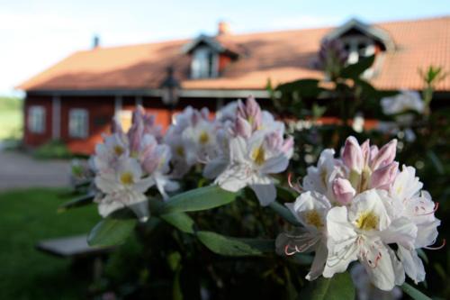 Linghem Lit Et Petit-Déjeuner | Klefstad gård
