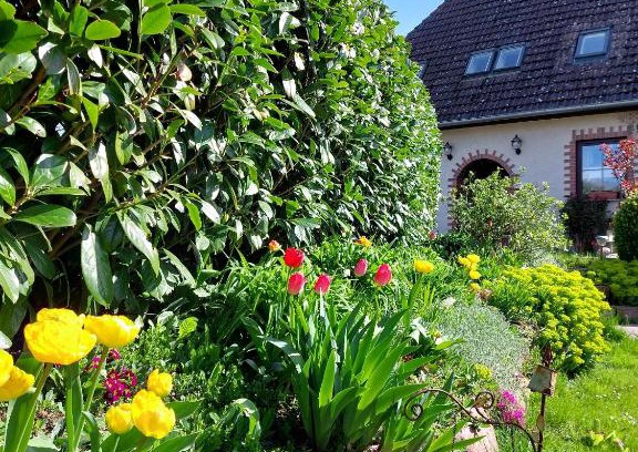 Althof Appartement | Klosterblick