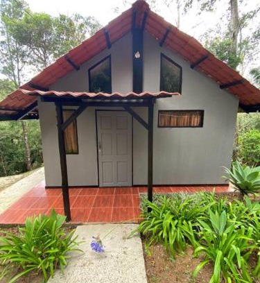 Canton Dota Maison | Koi's House - Quebradillas de Dota