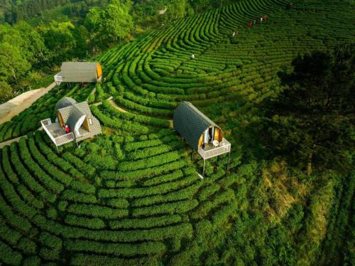 Nguyen Binh Hôtel | Kolia Resort