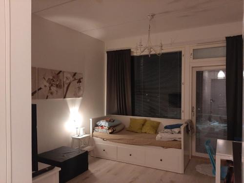 Kangasala Appartement | Kompakti studio