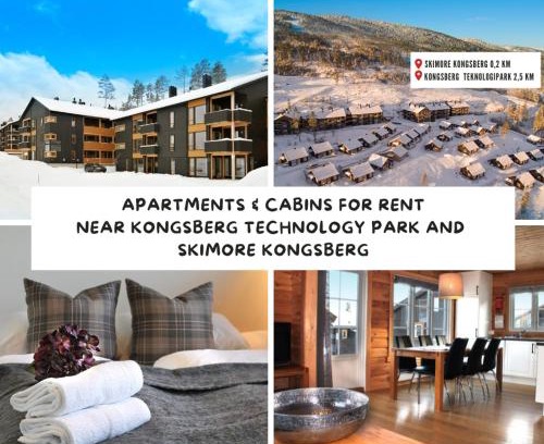 Kongsberg Appartement | Kongsberg Booking